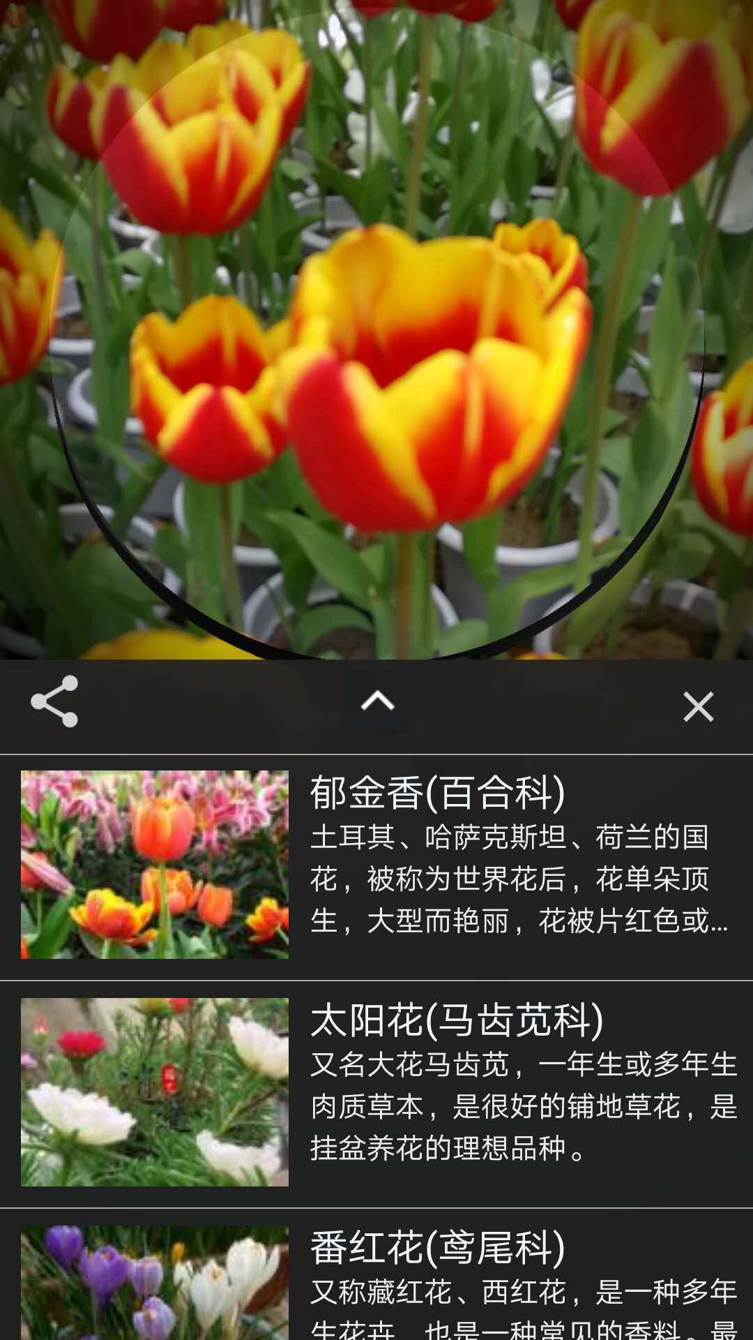 咔嚓识花  v2.1.1图2