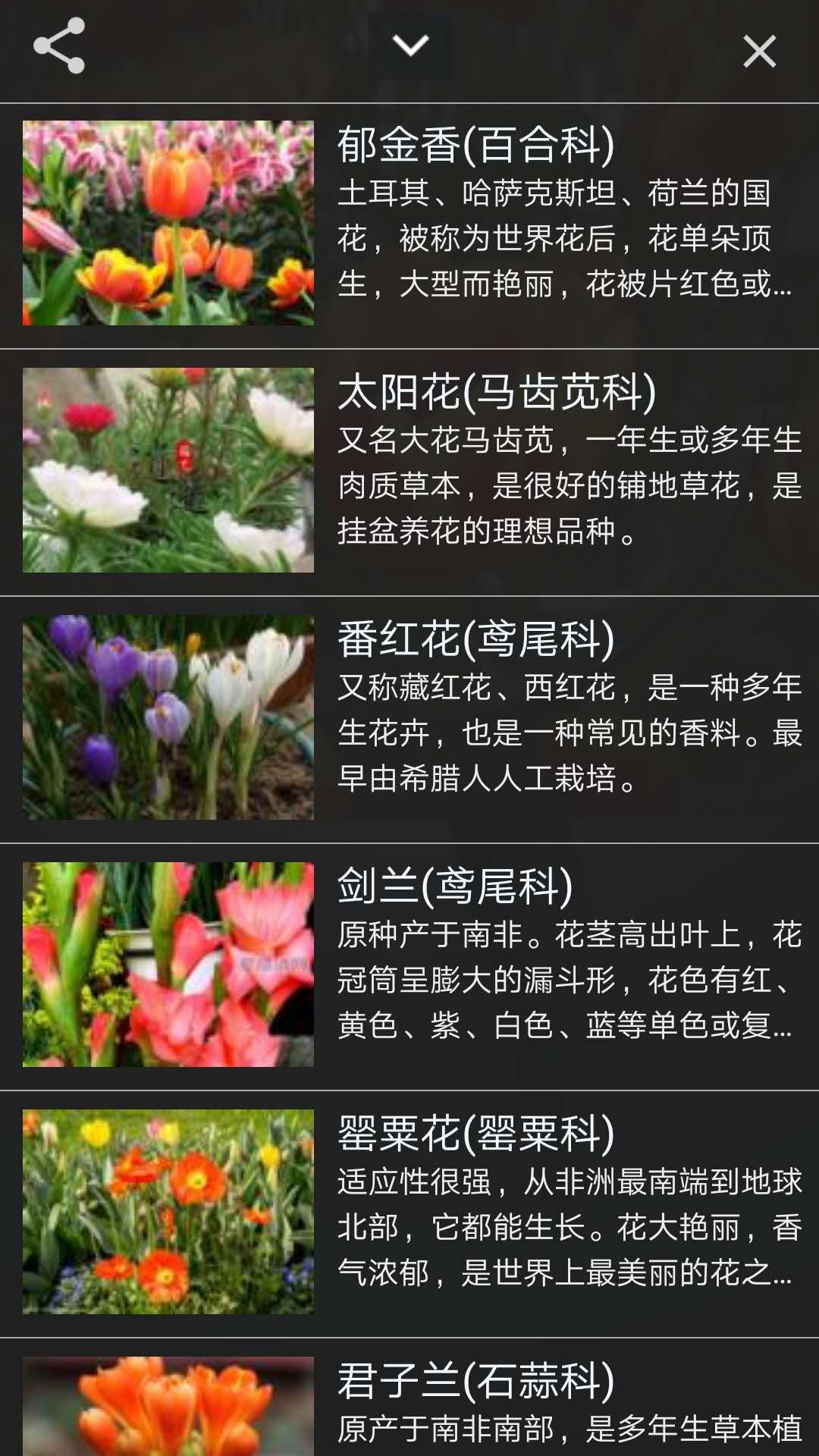 咔嚓识花