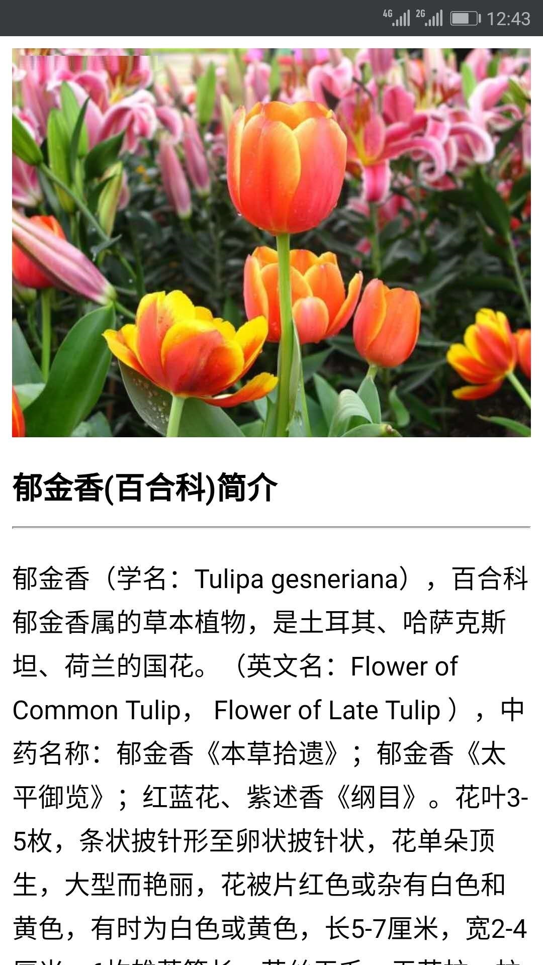 咔嚓识花  v2.1.1图4