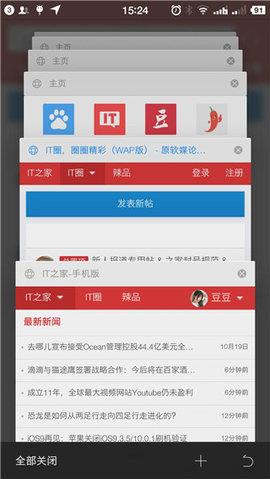 旗鱼浏览器精简版  v2.11图3