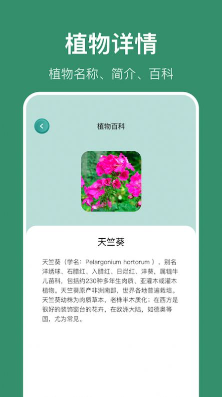 识花草  v1.1图2