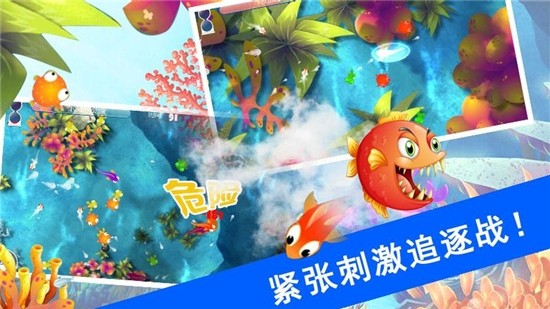 鲨鱼风暴  v1.1.5图1