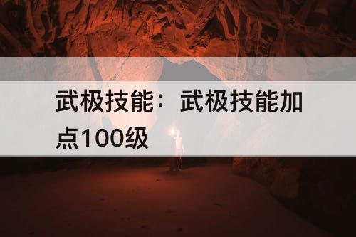 武极技能：武极技能加点100级