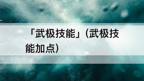「武极技能」(武极技能加点)