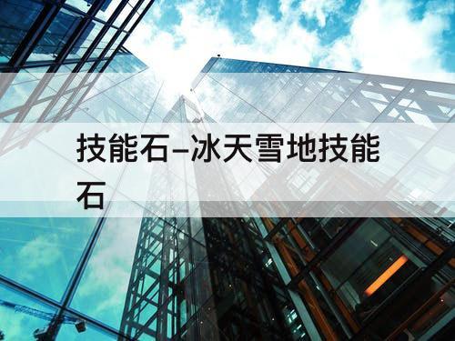 技能石-冰天雪地技能石