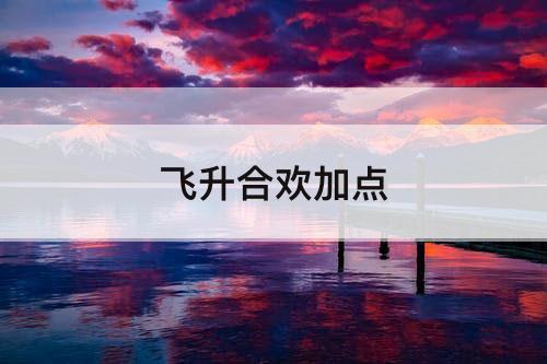 飞升合欢加点