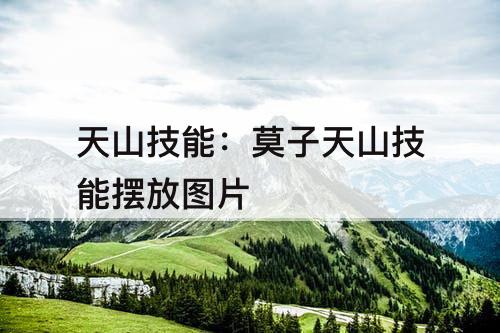 天山技能：莫子天山技能摆放图片