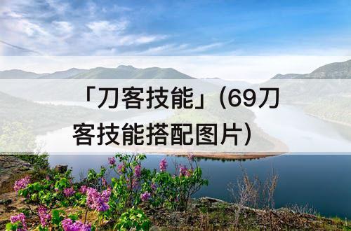 「刀客技能」(69刀客技能搭配图片)