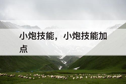 小炮技能，小炮技能加点