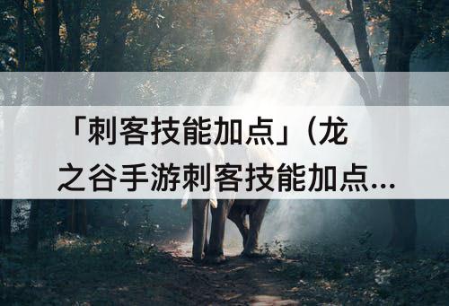 「刺客技能加点」(龙之谷手游刺客技能加点图)