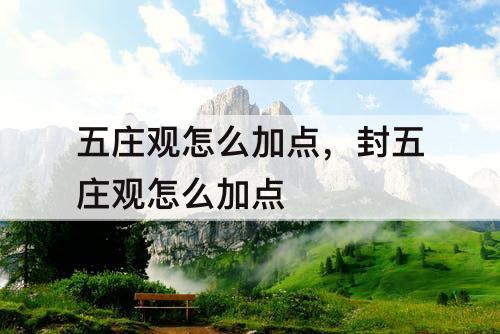 五庄观怎么加点，封五庄观怎么加点