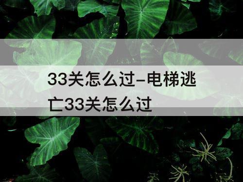 33关怎么过-电梯逃亡33关怎么过