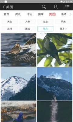 蜂鸟图库  v2.1.0图1