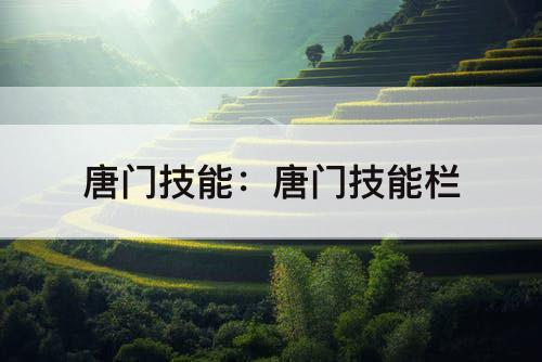 唐门技能：唐门技能栏