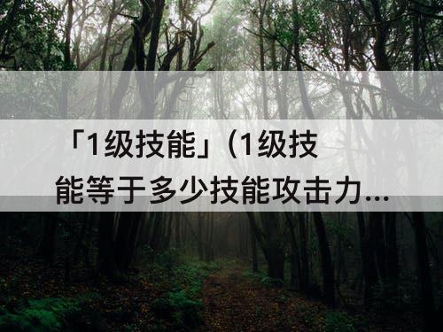 「1级技能」(1级技能等于多少技能攻击力)