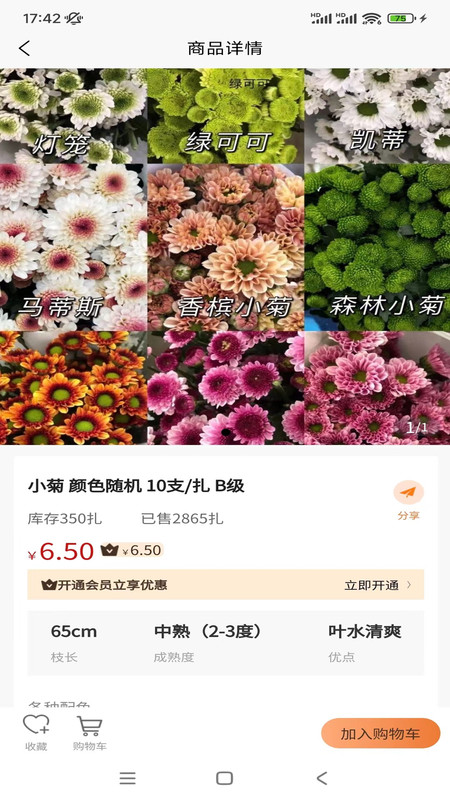 卖花人2024  v1.0.1图1