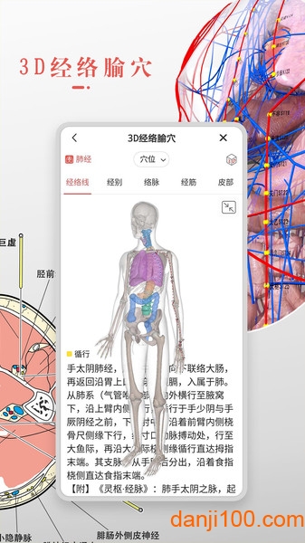 3Dbody解剖学  v8.7.51图3