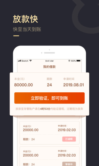 速金服app