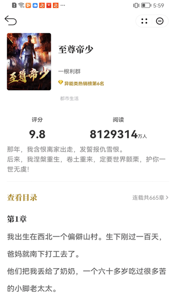 顽石小说最新版
