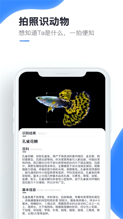 百科扫描王破解版免费下载安装苹果  v1.0.0图1