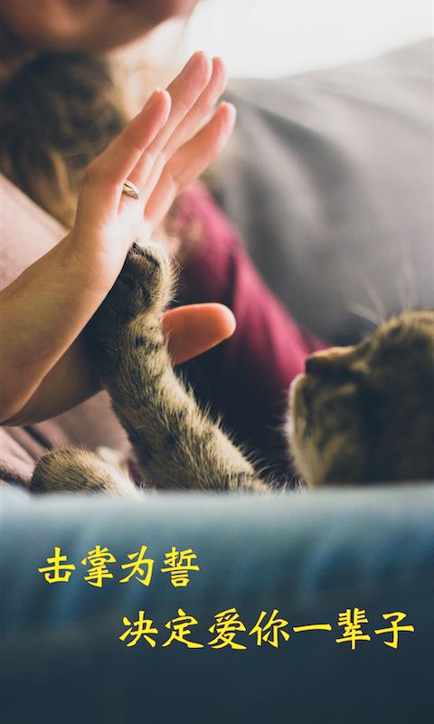 米族人猫交流器  v1.0.30图1