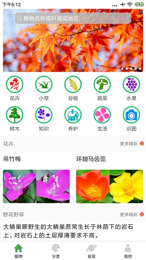 植物百科  v3.2.3图3