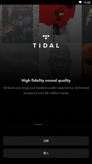 tidal中文版下载