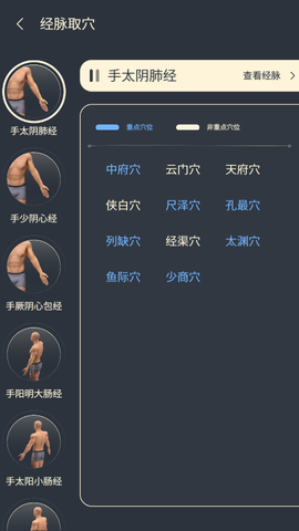 经脉宝  v2.15图2