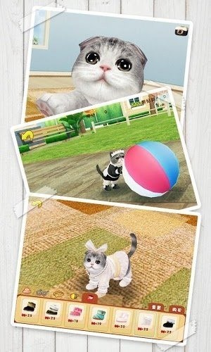 心动小猫手游2022中文版  v1.36.2图3